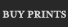 Buy Prints